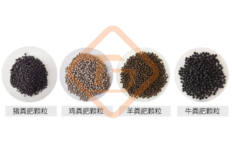 DSC01961.jpg DSC01961.jpg